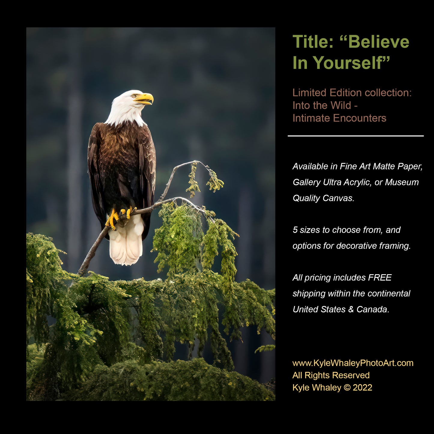 Title:    Believe In Yourself