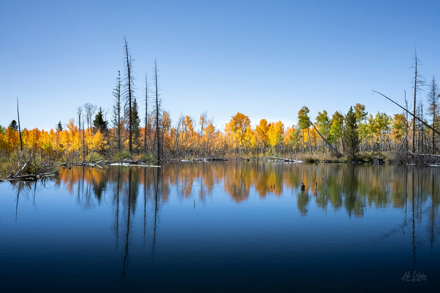 Title:    Mirror of Seasons