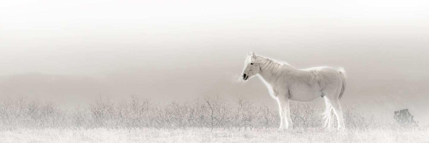 Title:    Ghost of the Prairie