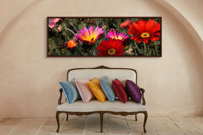 Title:    Fiori Colorati